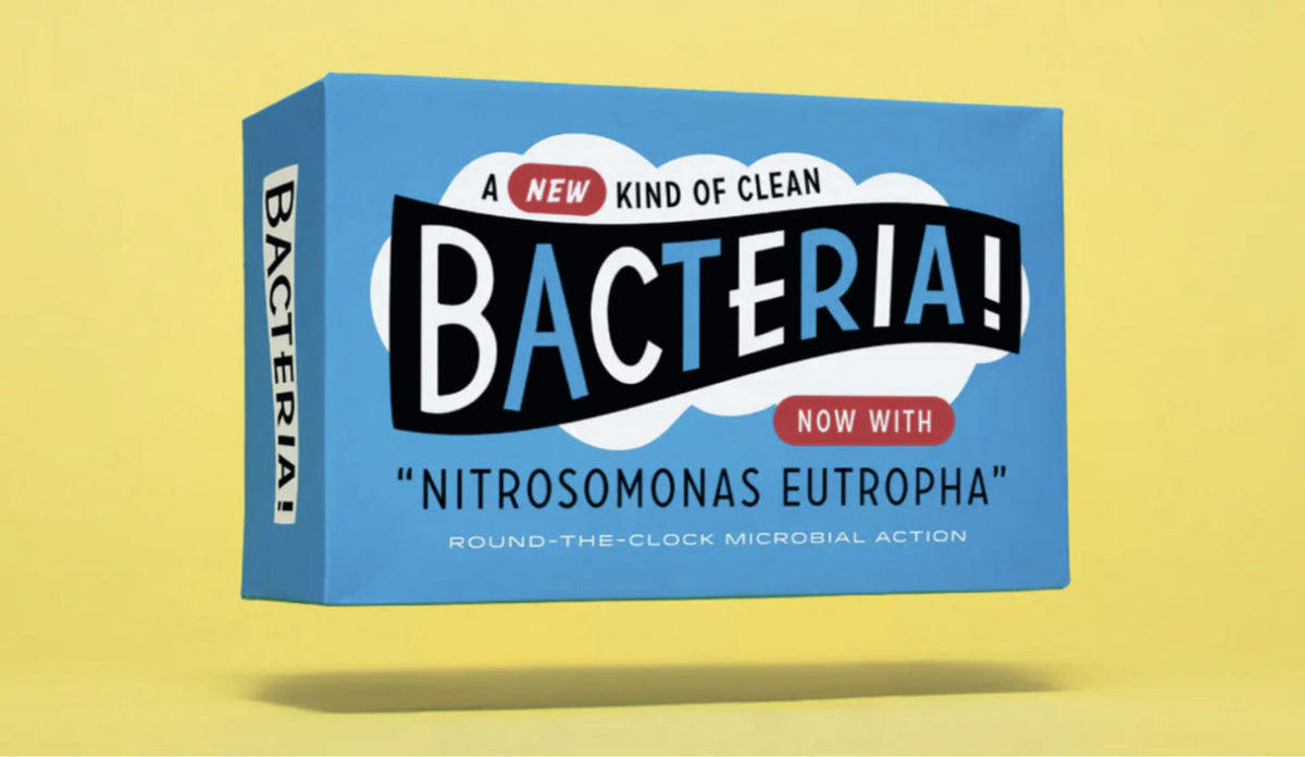 New York Times art by Dan Cassaro of a blue box with retro lettering saying "a new kind of clean, bacteria" on a yellow background
