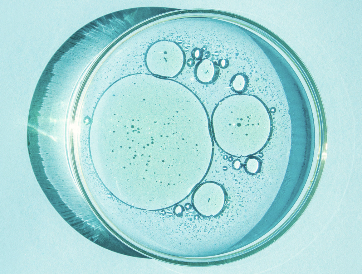 Bubbles and dots in a light blue gel in a round petri dish.