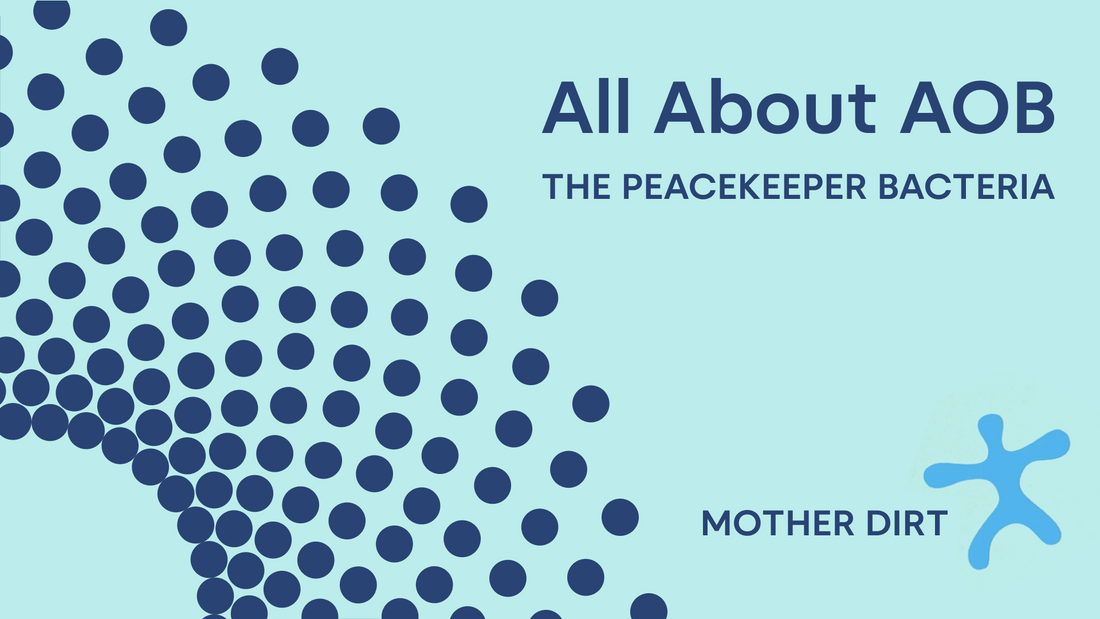 AOB Peacekeeper video produced by Mother Dirt